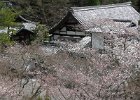2008-03-31- KYOTO-P1010569